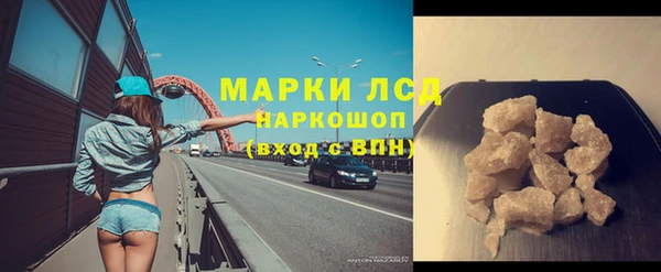 ПСИЛОЦИБИНОВЫЕ ГРИБЫ Арсеньев