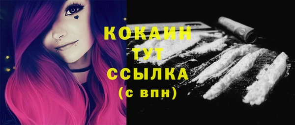 ПСИЛОЦИБИНОВЫЕ ГРИБЫ Арсеньев