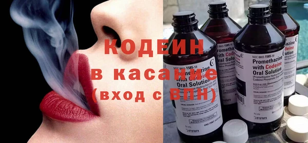 ПСИЛОЦИБИНОВЫЕ ГРИБЫ Арсеньев
