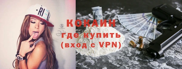 ПСИЛОЦИБИНОВЫЕ ГРИБЫ Арсеньев